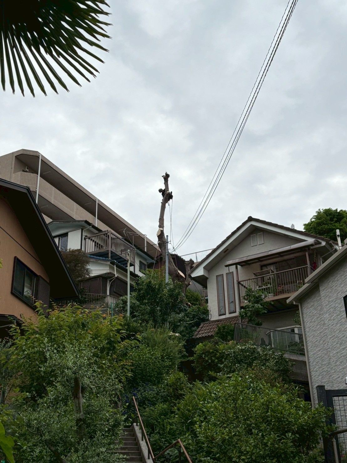 作業実績14