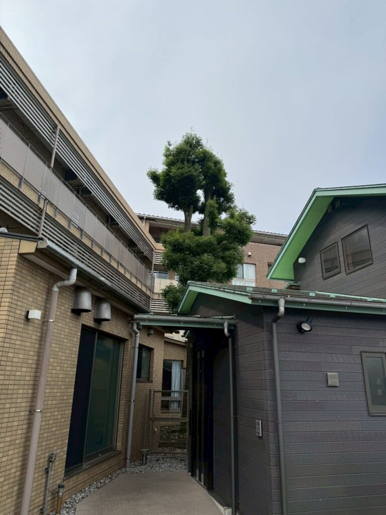 施工前